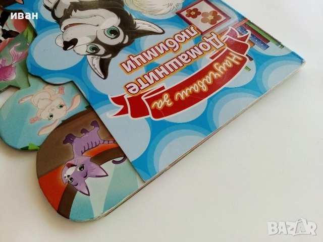 Картинна книжка "Научавам за домашните любимци", снимка 10 - Детски книжки - 51500017