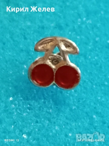 Сребърна обеца във формата на Череши с емайл нежно финно бижу 52653, снимка 5 - Обеци - 53059604