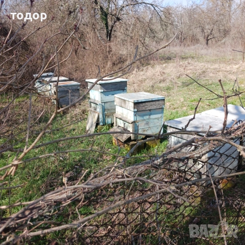 Кошери, снимка 3 - Други - 53656058