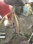 Столчета на винт метални, снимка 10