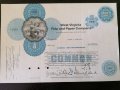 Сертификат за 100 акции (САЩ) | West Virginia Pulp and Paper Company | 1967г., снимка 1 - Други ценни предмети - 29320352