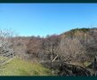 Парцел в село Мътеница, снимка 5