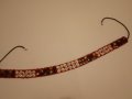  колан с черупки, дърво моден аксесоар от Тибет, снимка 3