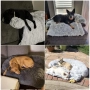 Ново Топло легло Протектор за диван * Пухкаво и успокояващо място за кучета * котка * куче * Размери, снимка 14