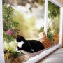Котешка кушетка Sunny, За прозорец, снимка 1 - Други стоки за дома - 40005431