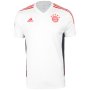 Мъжка тениска Adidas Fc Bayern Condivo 22 HB0621, снимка 1 - Тениски - 40496104