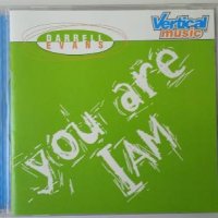 Darrell Evans ‎– You Are I Am - аудио диск ( US Rock, 1998г.), снимка 1 - CD дискове - 42293773
