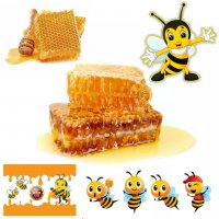 Предлагам натурален полифлорен пчелен мед прополис и восък произведени в екологично чист район на с., снимка 7 - Пчелни продукти - 38156572