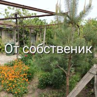 Продавам къща с двор, снимка 5 - Къщи - 36522393