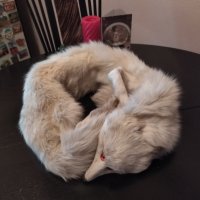 Сребърна полярна лисица, снимка 6 - Шалове - 39155518