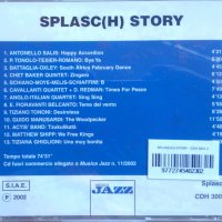 Various Artists - Splasc(h) Story - 2002 - CD, снимка 2 - CD дискове - 38820688