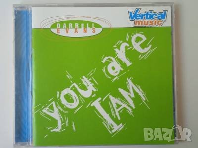 Darrell Evans ‎– You Are I Am - аудио диск ( US Rock, 1998г.), снимка 1