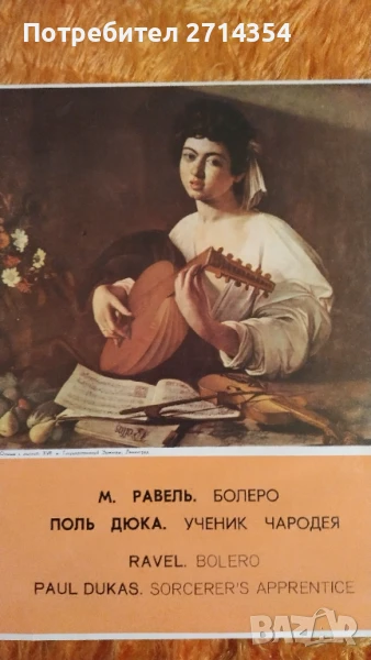 Класическа музика плочи , снимка 1