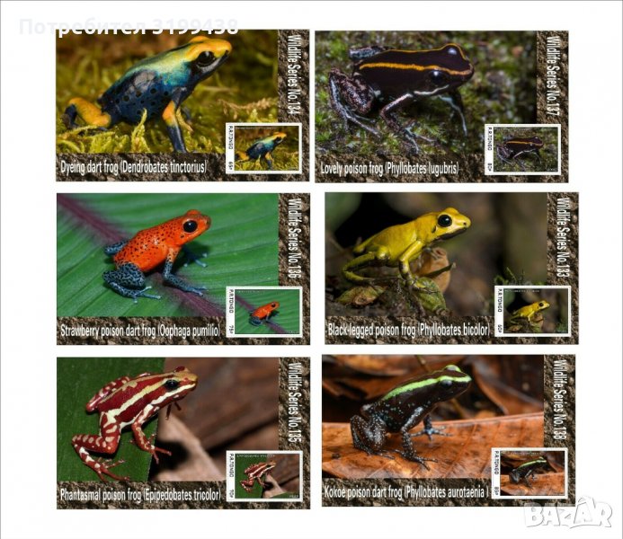 Чисти блокове Фауна Отровни Жаби 2020 от Тонго, снимка 1