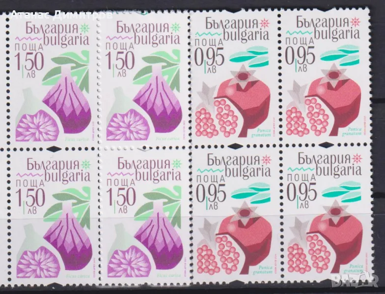 Чисти марки  в каре Флора Екзотични плодове 2025 от България , снимка 1