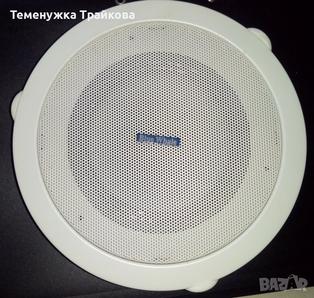 Говорител за вграждане в таван Blue Whale, снимка 1