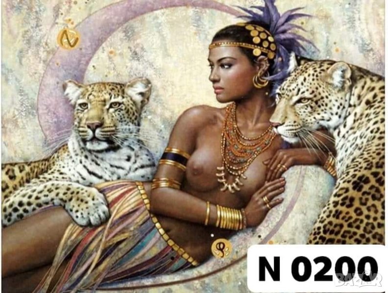 Диамантен Гоблен - Наличен комплект за изработка , снимка 1