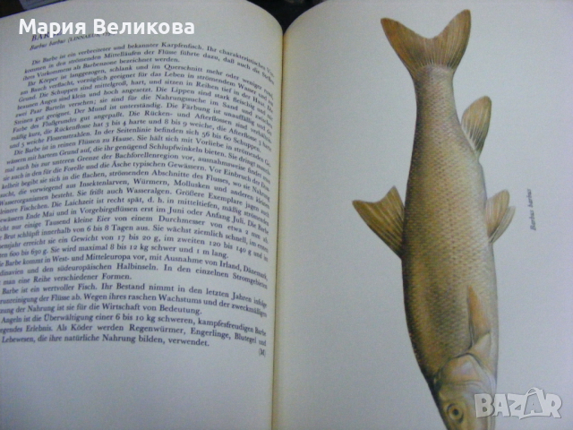 Книги на немски език, снимка 7 - Енциклопедии, справочници - 44728217