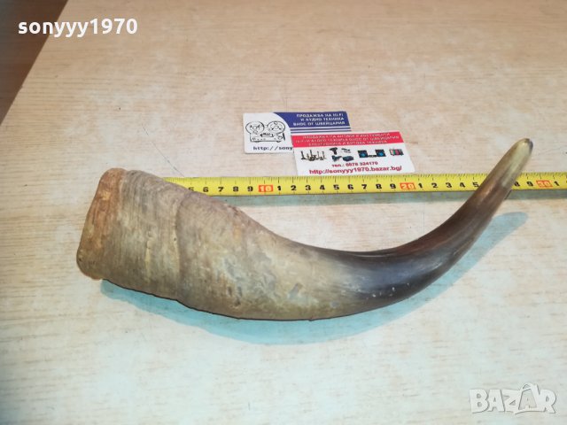 рог за колекция 0511201242, снимка 2 - Колекции - 30682903