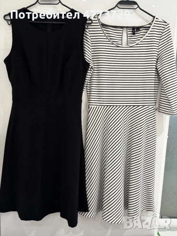 Рокли два вида