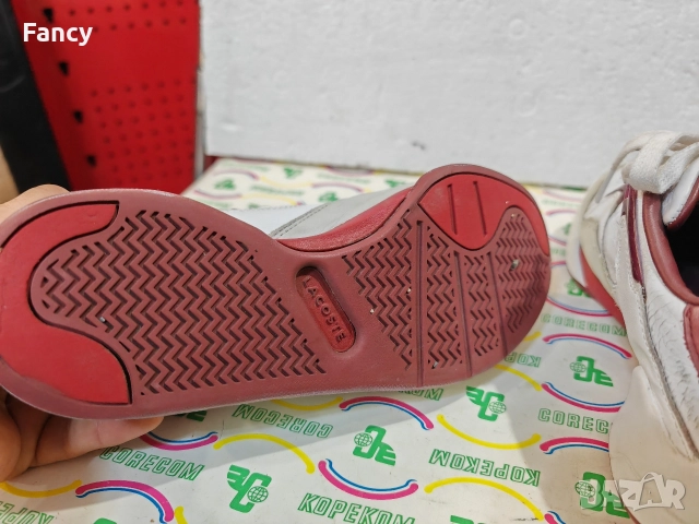 Сникърси Lacoste 37,5 номер, снимка 5 - Маратонки - 52748171