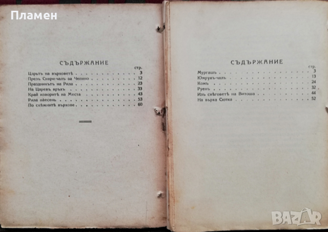 Библиотека "Нашата родина" Павелъ Делирадевъ /1929/, снимка 8 - Антикварни и старинни предмети - 36377406