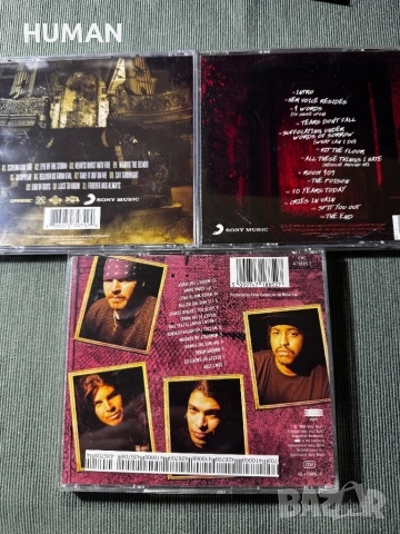 Slayer - Prong - Iced Earth - Danzig - Suicidal - Vast, снимка 18 - CD дискове - 53937707