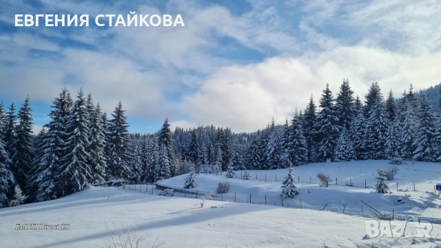 Приветливо смарт студио с изглед към Снежанка и ски писта "Пампорово - Стойките", снимка 3 - Квартири, нощувки - 48251681