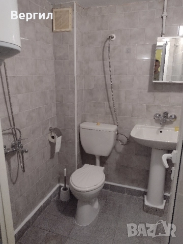 Стая под наем, снимка 7 - Стаи под наем - 52246972