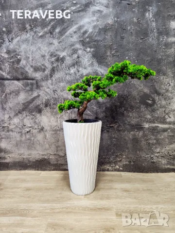 Декорация за ресторант-хотел , снимка 4 - Декорация за дома - 48672408