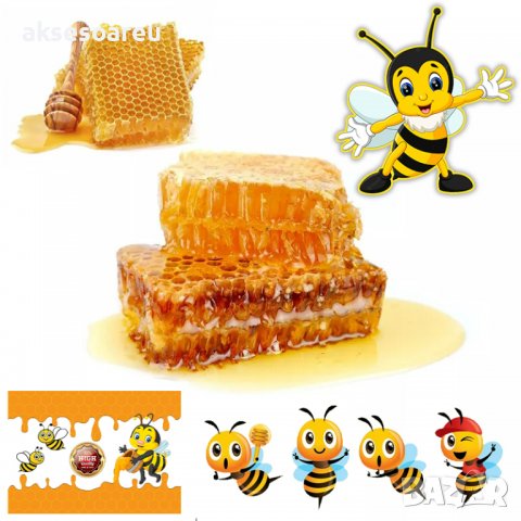 Предлагам натурален полифлорен пчелен мед прополис и восък произведени в екологично чист район на с., снимка 7 - Пчелни продукти - 38156572