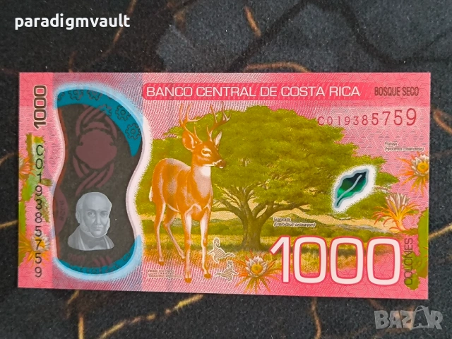 Банкнота - Коста Рика - 1000 колона UNC | 2019г.