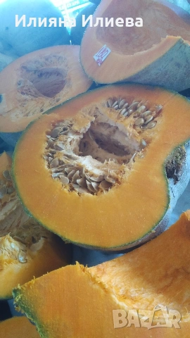 продавам семена за садене на български бели тикви кестенки ,мускат и цигулки, снимка 7 - Сортови семена и луковици - 54016618