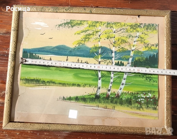 пейзаж с брези , снимка 4 - Картини - 54003515