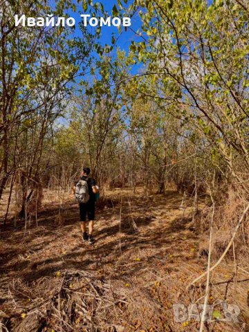 Парцел в село Захари Стояново, област Добрич, снимка 2 - Парцели - 42493567