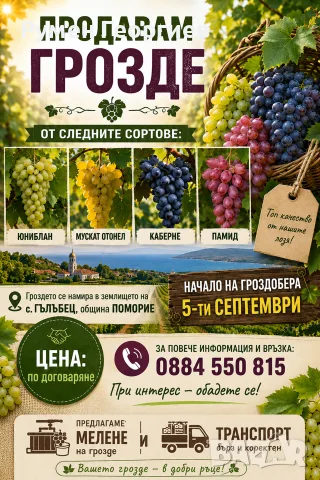 Продавам Грозде