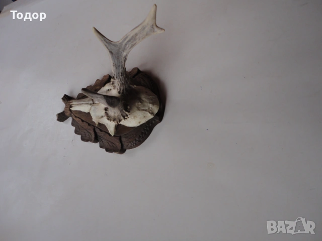 Ловен трофей рог рога дърворезба 13, снимка 3 - Ножове - 54087340