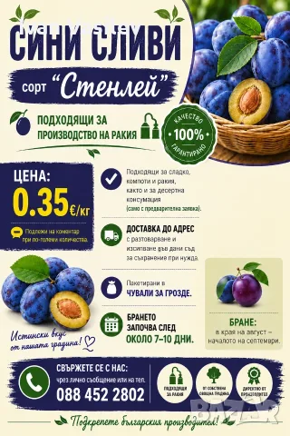 Сини сливи "Стенлей", за ракия. *ДОСТАВКА*