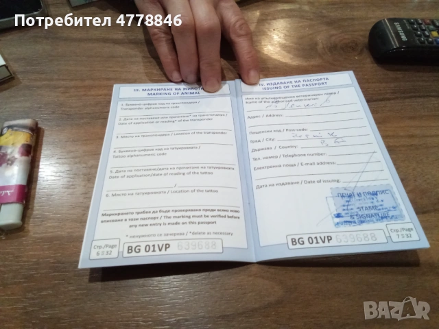  Уелско Корги , снимка 9 - Други - 53990719