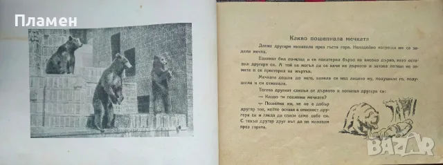 Горски животни Ценко Цветанов /1945/, снимка 4 - Антикварни и старинни предмети - 56167696