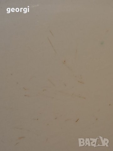 Немско голямо порцеланово плато с елени   18/2, снимка 9 - Сервизи - 38332991