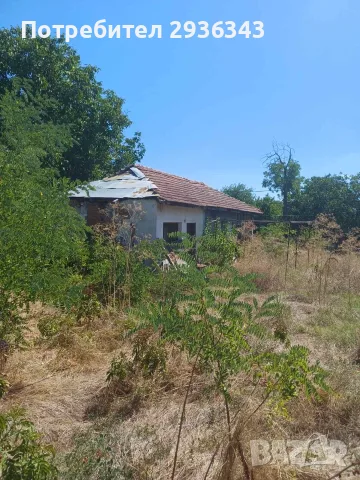 Къща с двор в с.Коларово, снимка 3 - Къщи - 55941330