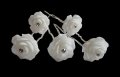 Красиви Фуркети бяла нежна розичка от пластмаса с кристалче, 15 броя в кутия 