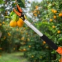 Ножица за клони и бране на плодове 100 см –заключване,регулиране на ъгъл, снимка 10