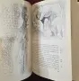 Пикасо - живот и творби / Picasso, снимка 13