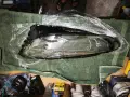 BMW LED LCI G26-G22-G23-G80-G81-G82-G83, снимка 10