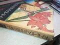 КНИГА ЗА ВСЕКИ ДЕН ДОМ-ДЕБЕЛА СТАРА 3112241650, снимка 5