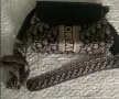 Дамска чанта Dior, снимка 3