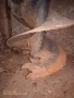 Продавам свредел/ямкокопател/за трактор., снимка 11
