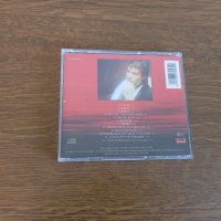 Vangelis – Platinum 1997, снимка 4 - CD дискове - 42539334
